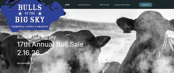 BullsOfThebBigsky.com Image