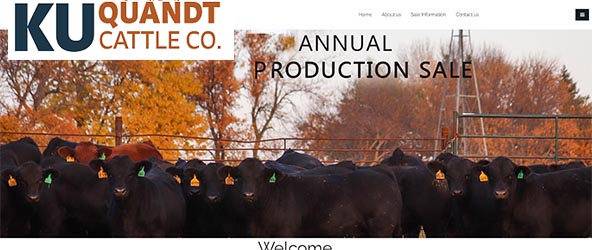 QuandtBrothers.com Image