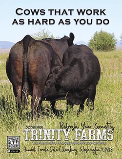 trinity_farms_cover_23.jpg